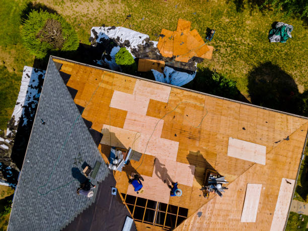Best New Roof Installation  in Rocky Mount, NC